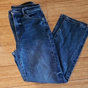 Express Dark Blue Ankle Jeans